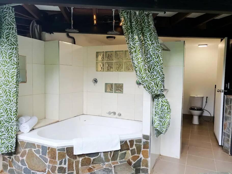 Treeverb Beach House - Daintree Cow Bay Buitenkant foto